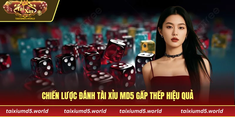 Chiến lược đánh tài xỉu MD5 gấp thếp hiệu quả